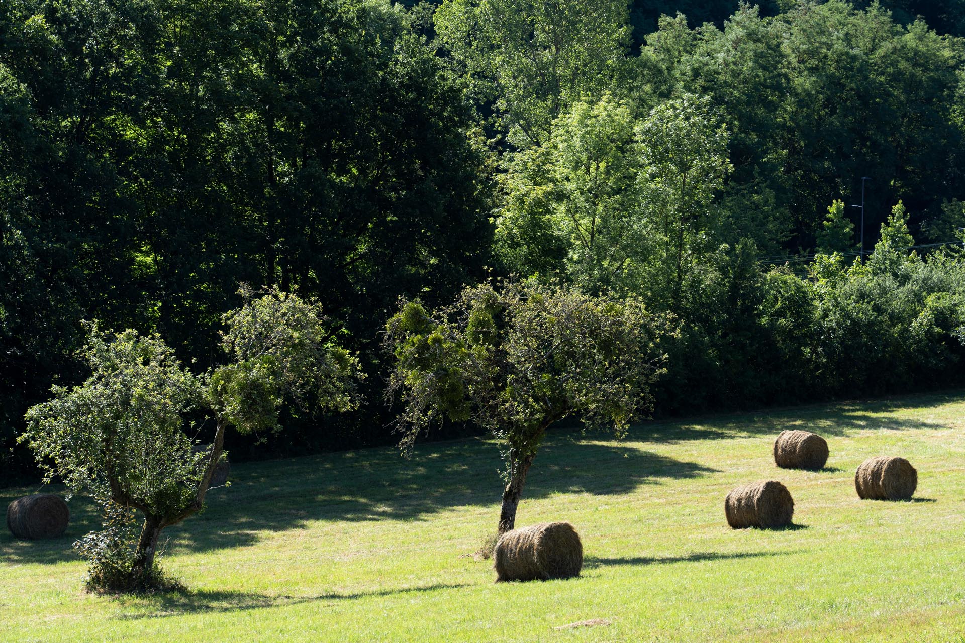 Le Domaine de la Ferrière à Charbonnières-les-Bains