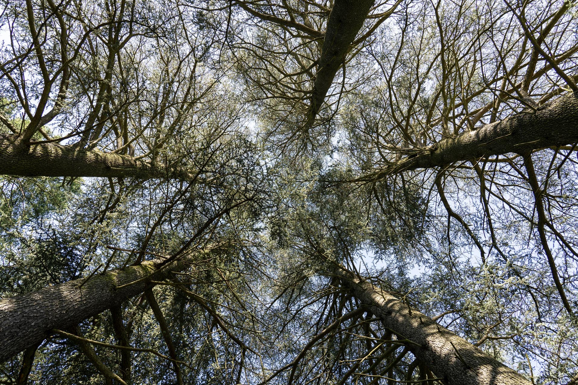 Le Domaine de la Ferrière à Charbonnières-les-Bains