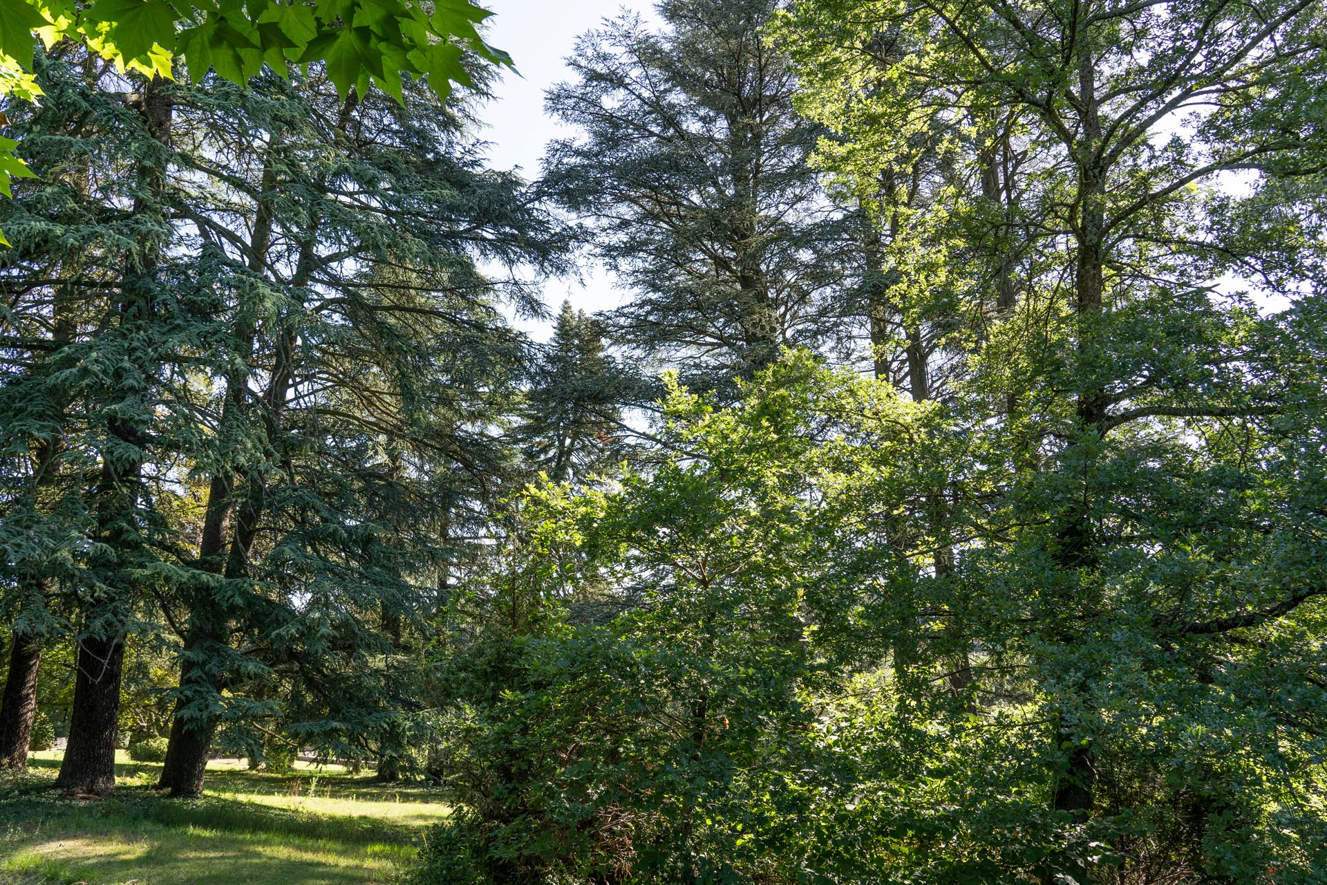 Le Domaine de la Ferrière à Charbonnières-les-Bains